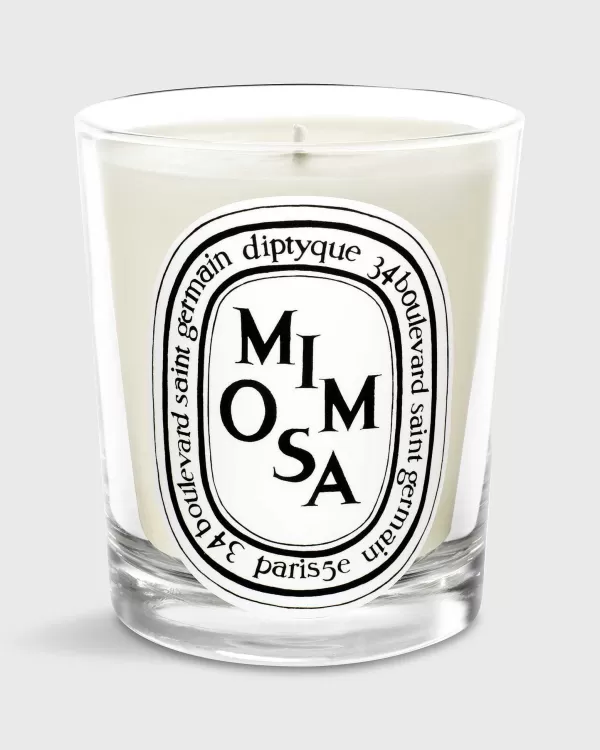 Store Diptyque Classic Scented Candle Mimosa
